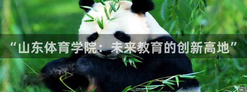 MK体育官方正版app娱乐网站:“山东体育学院:未来教育的创